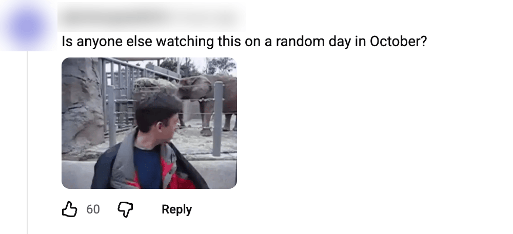 A real YouTube comment that contains an animated GIF, with the commenter’s name and avatar blurred